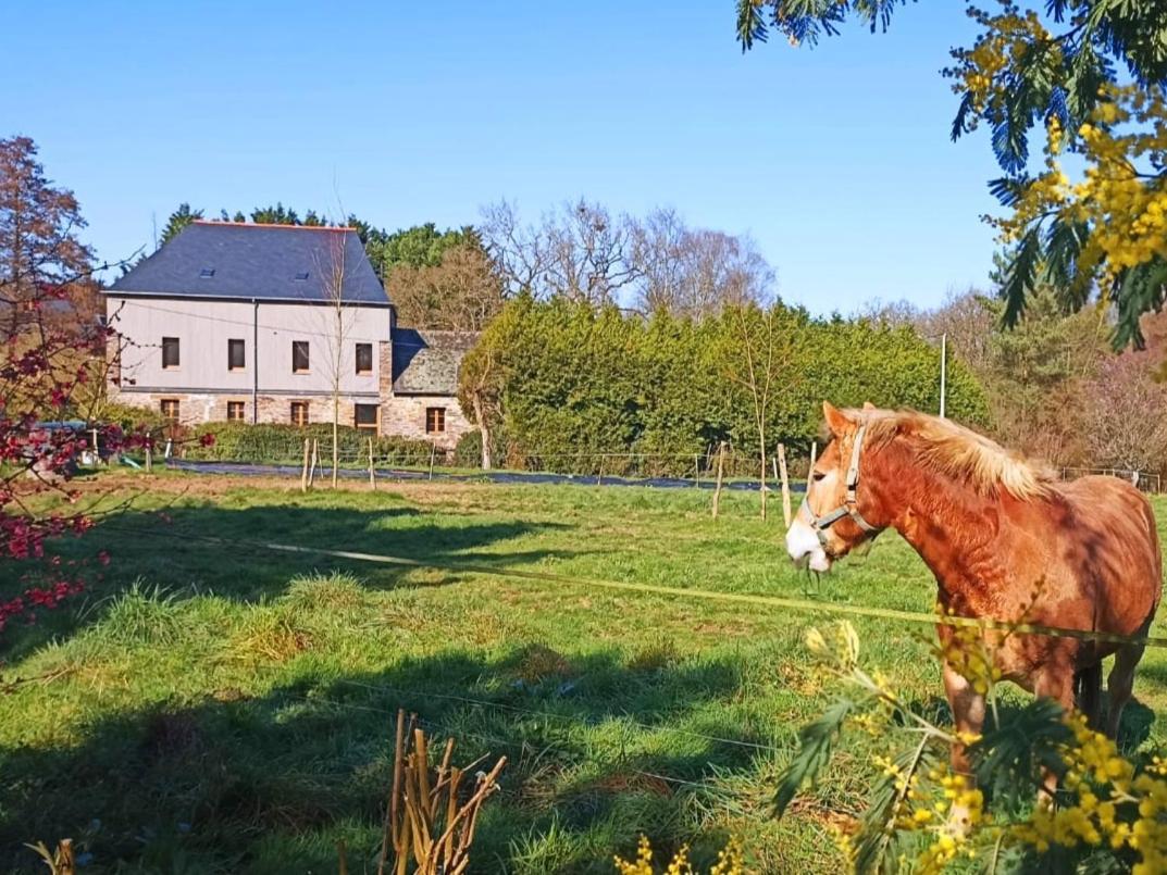 Guer Chambre D'Hote En Gite - Moulin De La Houssaie - Broceliande المظهر الخارجي الصورة