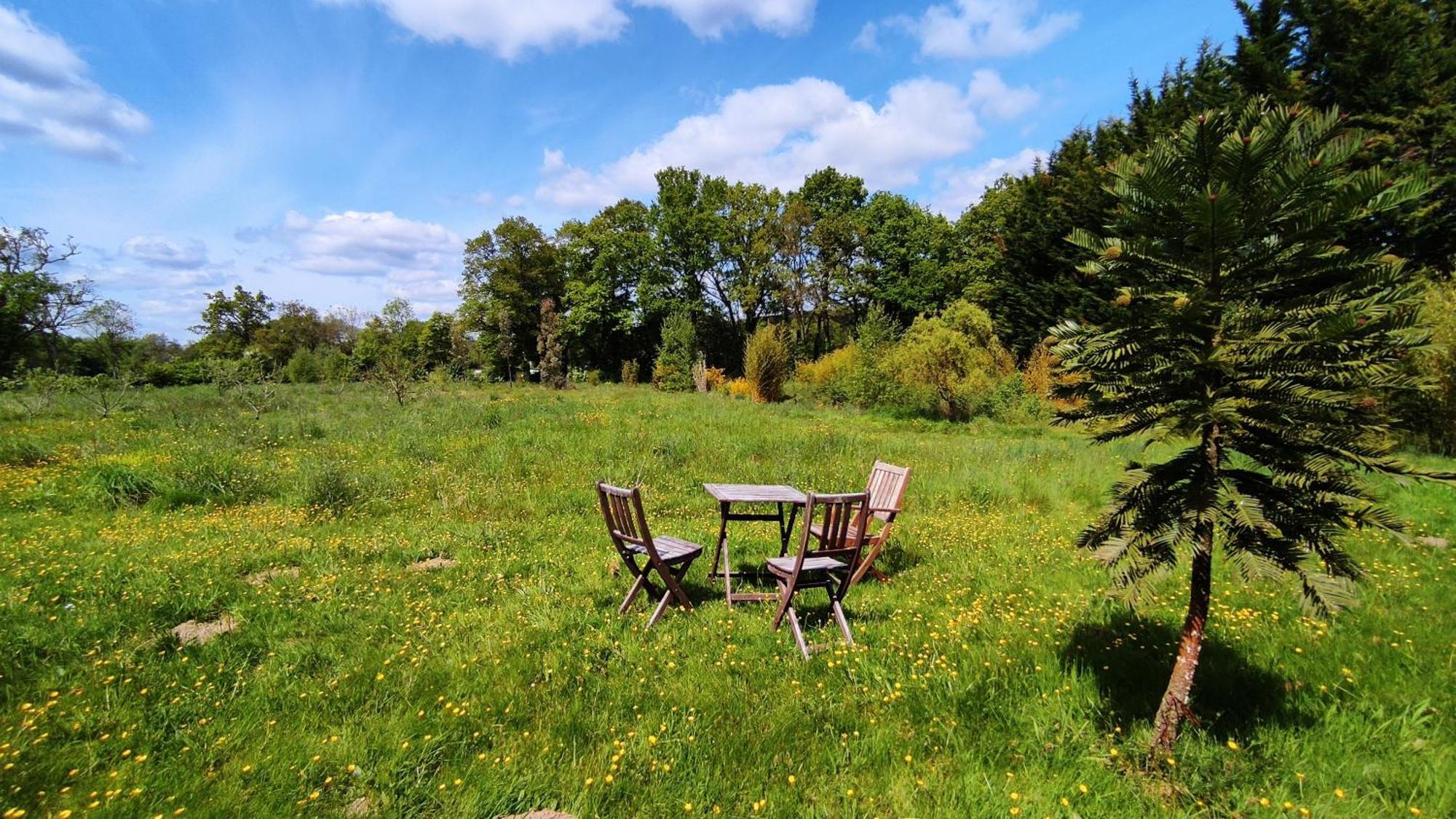 Guer Chambre D'Hote En Gite - Moulin De La Houssaie - Broceliande المظهر الخارجي الصورة