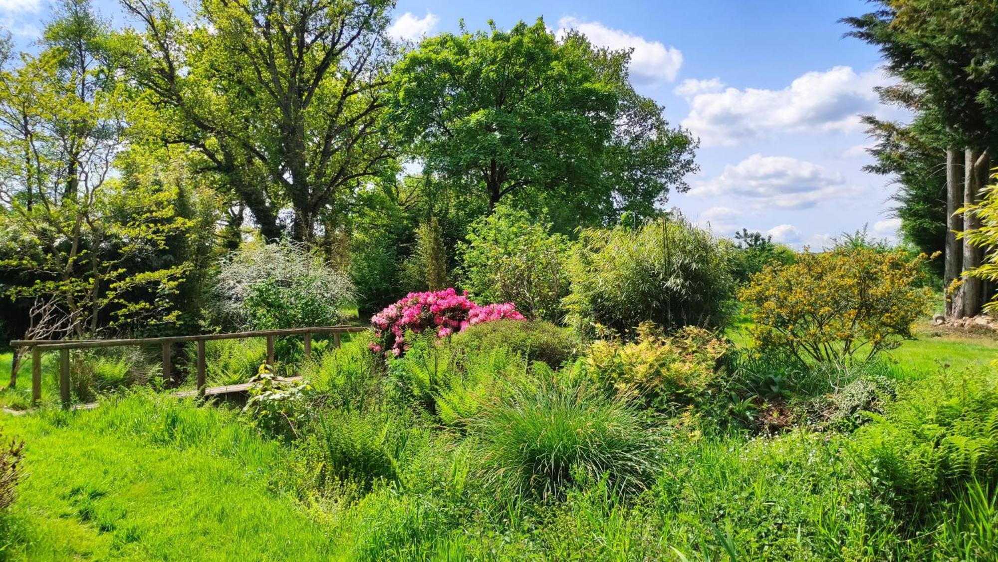 Guer Chambre D'Hote En Gite - Moulin De La Houssaie - Broceliande المظهر الخارجي الصورة